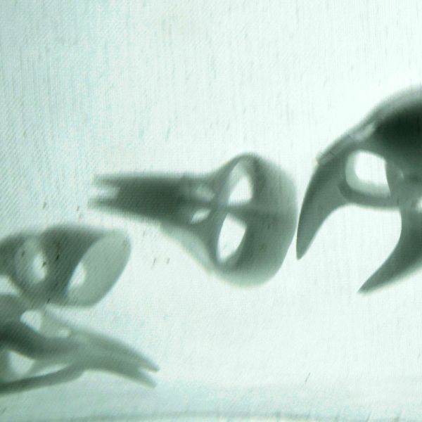 Skull kink fetish bdsm Claw rings art