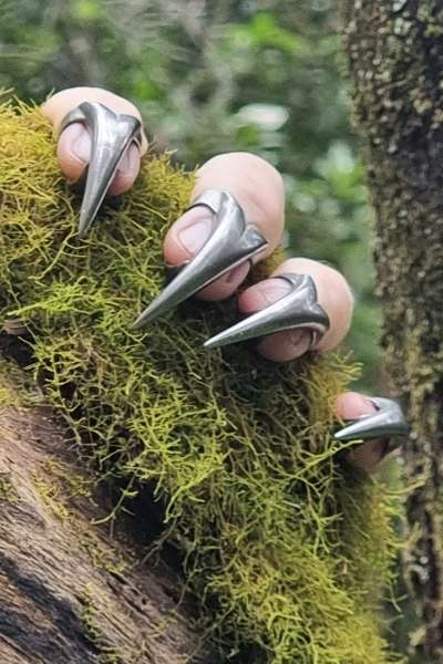 Fetish kink bdsm claws in nature