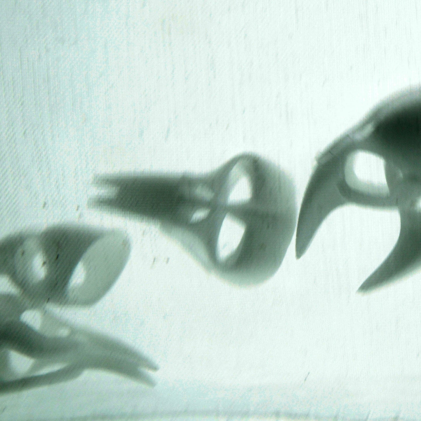 Skull kink fetish bdsm Claw rings set