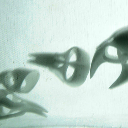 Skull kink fetish bdsm Claw rings set