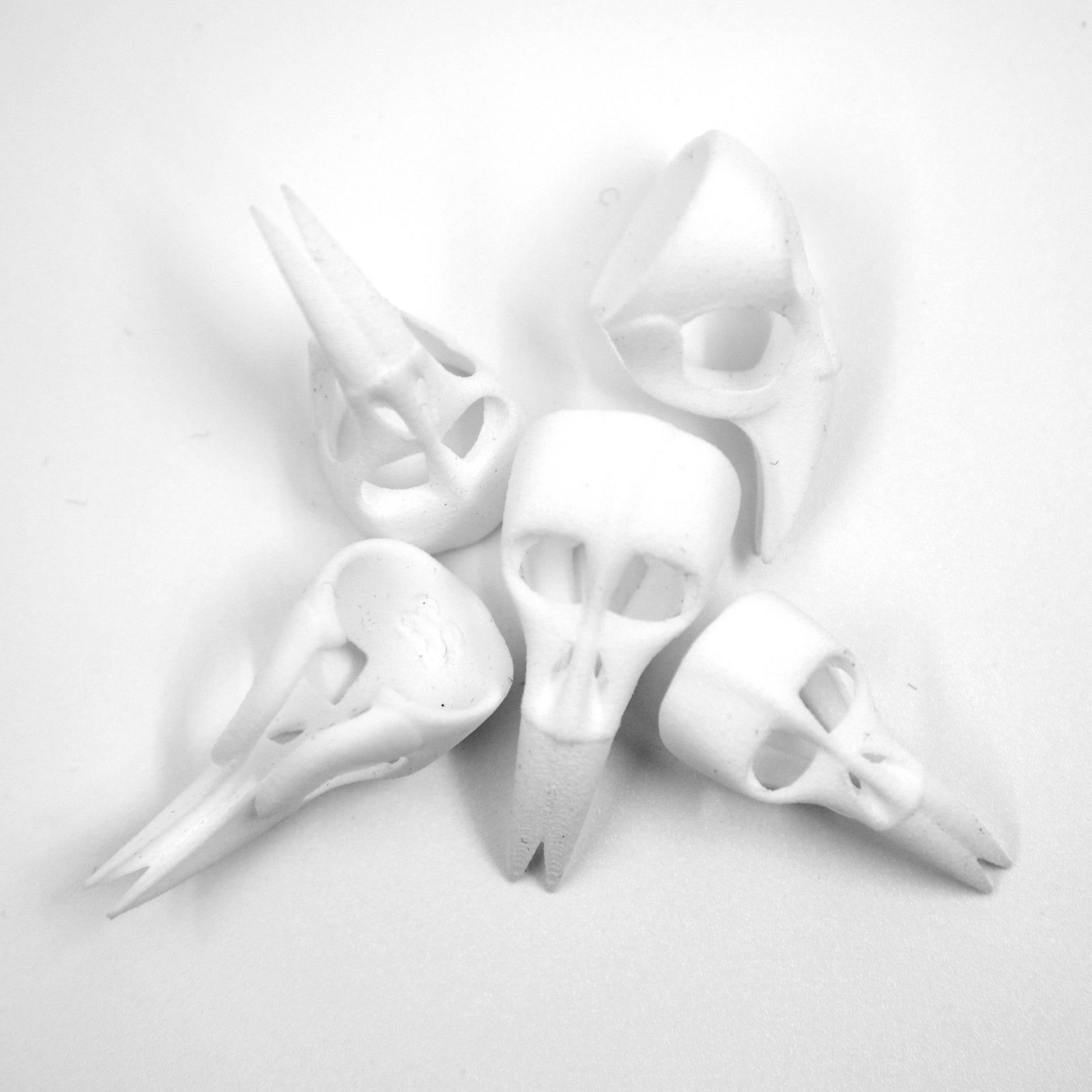 Skull kink fetish bdsm Claw rings